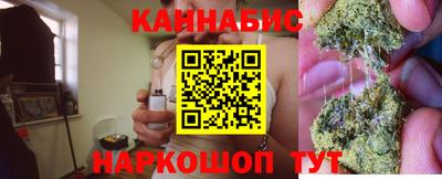 стаф Камышлов