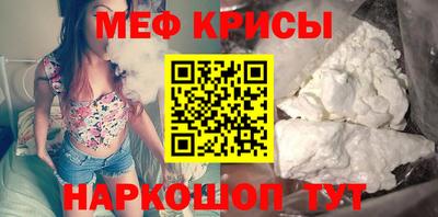 стаф Камышлов