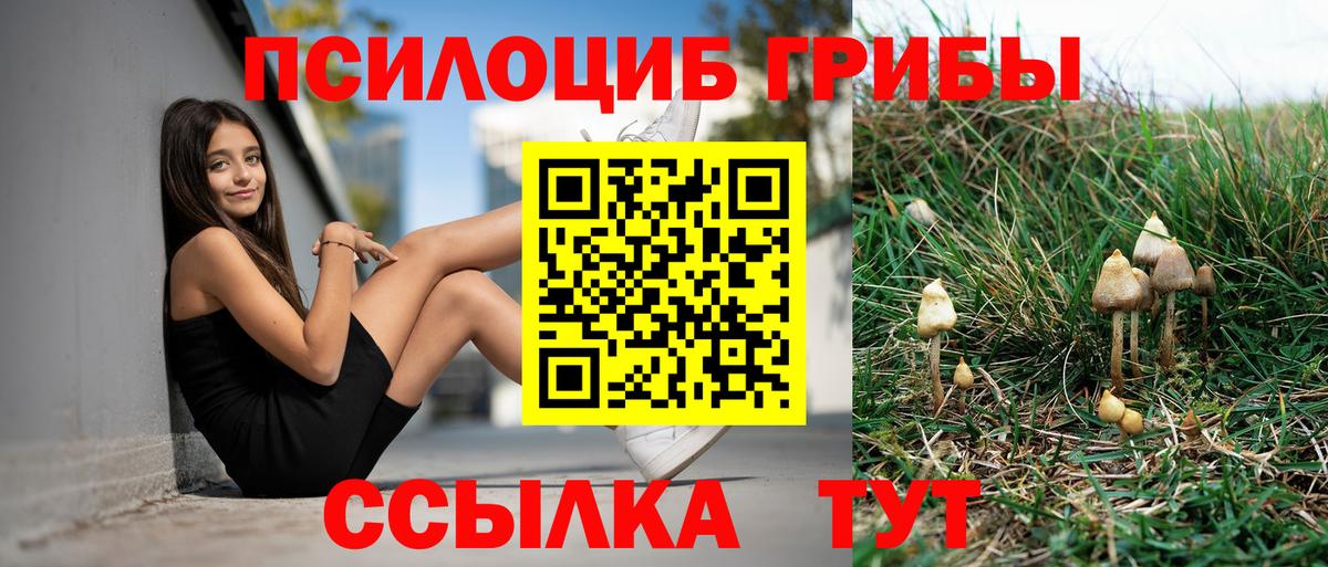 Гудермес  Псилоцибиновые грибы ЛСД  Псилоцибиновые грибы Magic Shrooms  Вход с VPN 